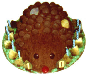  Cadburys Buttons Hedgehog Cake 
